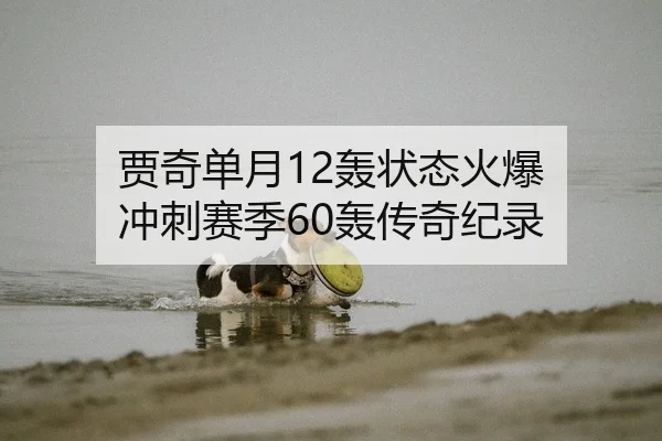 贾奇单月12轰状态火爆 冲刺赛季60轰传奇纪录